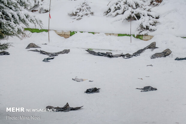 Winter snowfall in Tabriz