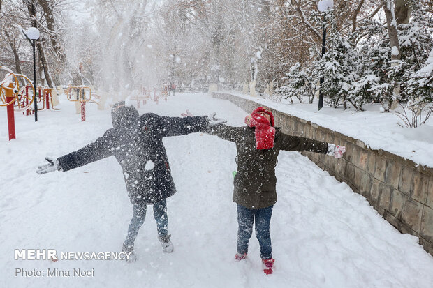 Winter snowfall in Tabriz