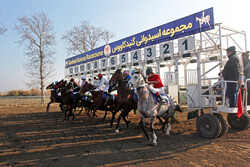 Bucnurd kentinde at yarışı