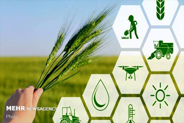 عملکرد ضعیف وزارت جهاد در بخش تعاونی های کشاورزی 