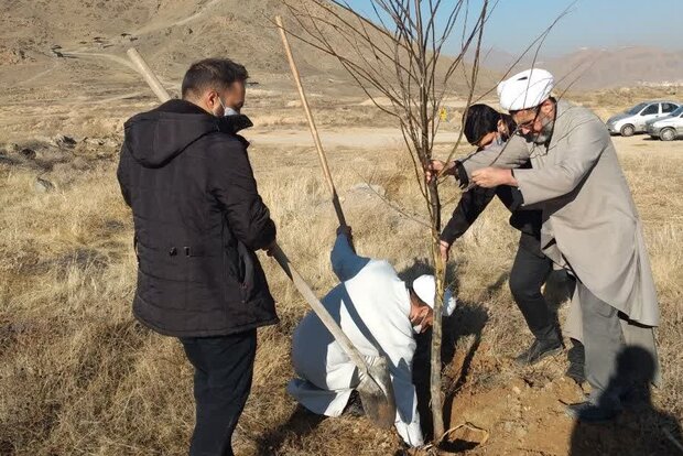 کاشت درخت به یاد شهدای طلبه و رسانه استان مرکزی