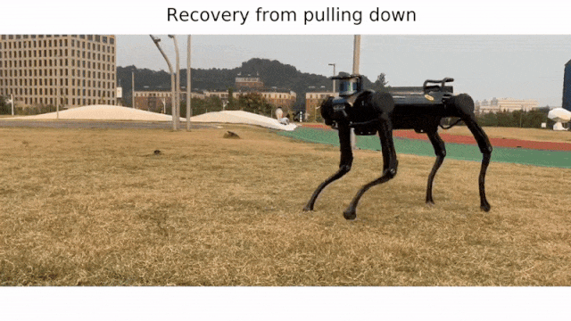 سگ رباتیک بعد از زمین خوردن بلند می شود