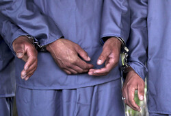 کشف ۲۹ فقره سرقت در دشتستان/ ۱۲ نفر دستگیر شدند