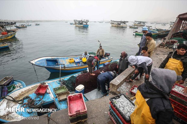 ماهیگیری فلسطینی‌ها در نوار غزه