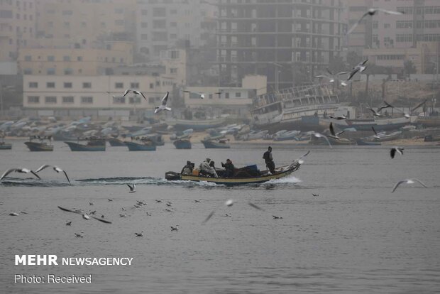 ماهیگیری فلسطینی‌ها در نوار غزه