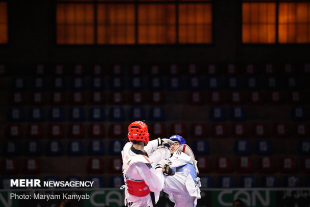 Iran Professional Taekwondo League