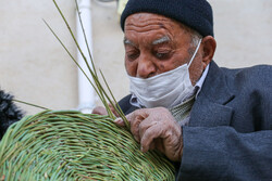دستان کم‌رمق پیرمرد ۹۴ ساله هنر ترکه بافی را زنده نگاه داشته است