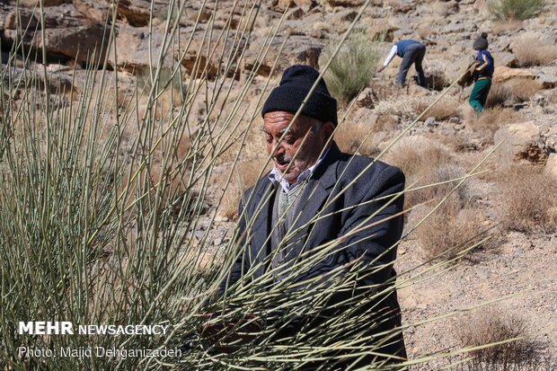 پیرمرد ترکه باف مهریزی