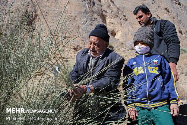 پیرمرد ترکه باف مهریزی