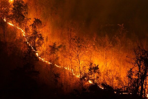 تصاویری از وقوع آتش سوزی در جنگل های عباس آباد آستارا