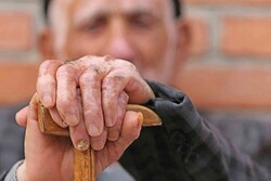 بنشین بر لب جوی و گذر عمر ببین؛ مصداق سالمند ایرانی نیست