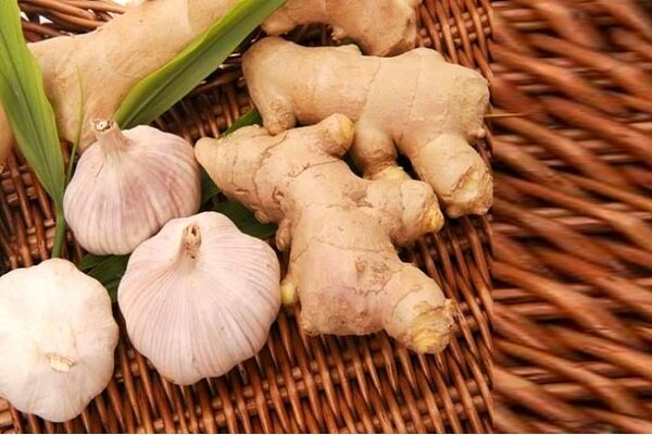 از تقویت مو تا کاهش التهاب؛ گیاهی همه‌کاره برای زندگی سالم