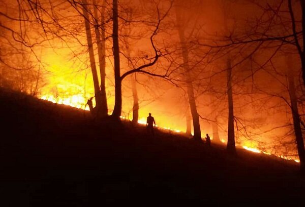 آتش سوزی در ۳۵ هکتار از اراضی جنگلی استان گیلان