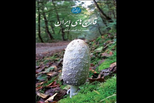 دنیای شگفت‌انگیز قارچ‌های ایران را با یک کتاب کشف کنید