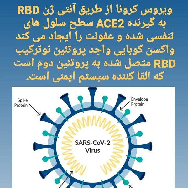 واکسن کرونای مشترک ایران و کوبا آماده کسب مجوز برای فاز ۳ است