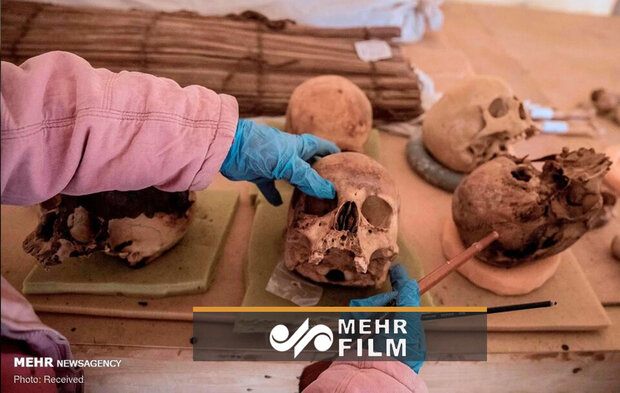 VIDEO: 54 coffins unearthed in Egypt in major finding