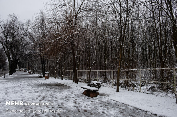 Winter snow whitens Rasht
