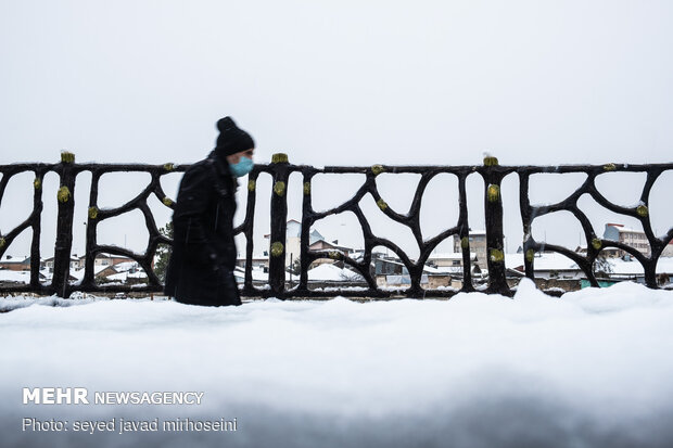 Winter snow whitens Rasht
