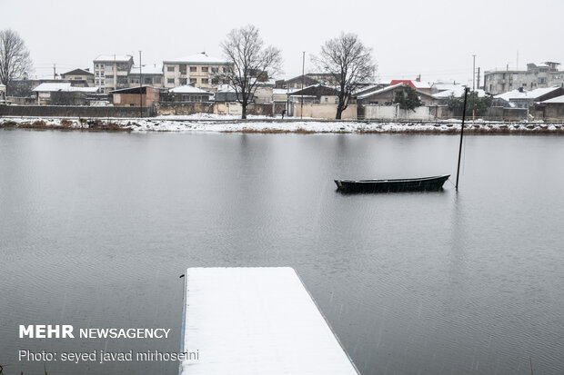 Winter snow whitens Rasht
