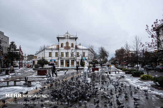 Winter snow whitens Rasht
