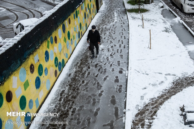 Winter snow whitens Rasht
