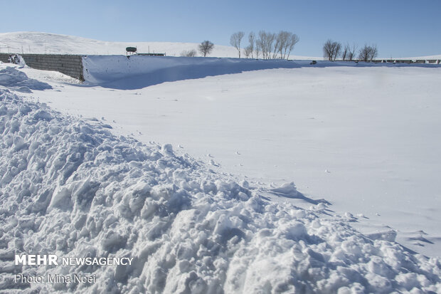 مردان جاده های برفی