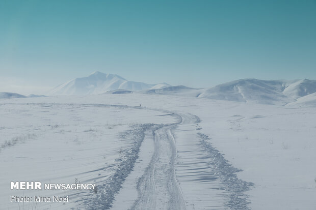 مردان جاده های برفی