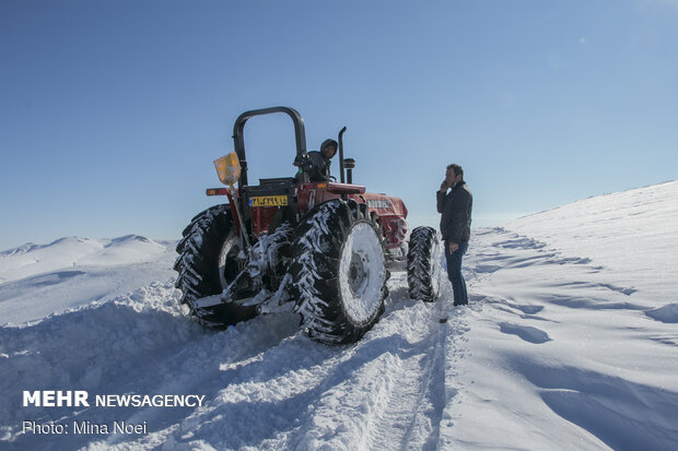 مردان جاده های برفی