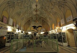 حکم تخلیه موزه تاریخ طبیعی صادر شد/عدم تمکین صاحبان اشیا