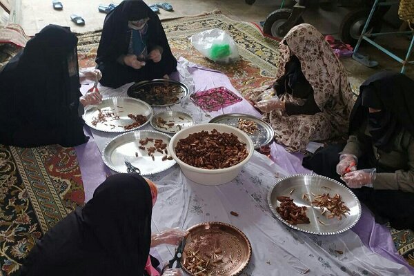 برگزاری اردوی جهادی در بجنورد با طعم فراگیری حرفه و کسب درآمد