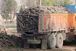 ۱۰۰ تن انواع چوب قاچاق در مهاباد کشف شد