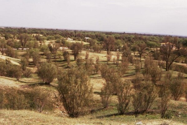 نیمی از مساحت گرمسار اراضی بیابانی است