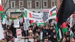 VIDEO: Irish people raise Palestine flag in historic castle