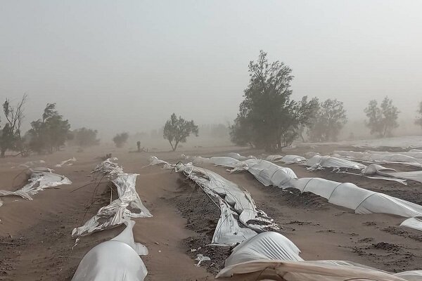 دسترنج کشاورزان جنوب سیستان و بلوچستان زیر شن دفن شد