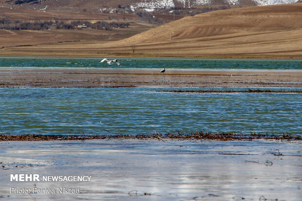 Choghakhor Wetland during winter
