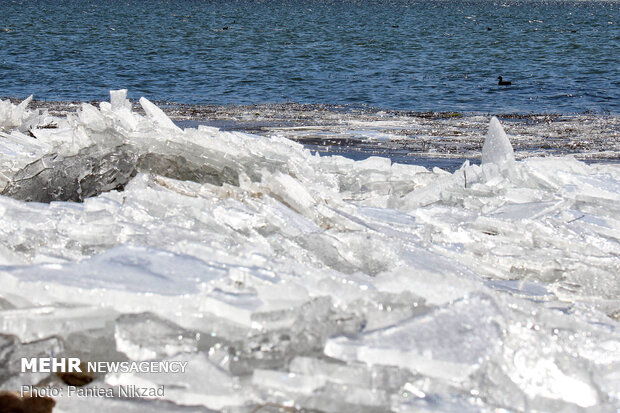 Choghakhor Wetland during winter
