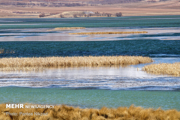 Choghakhor Wetland during winter
