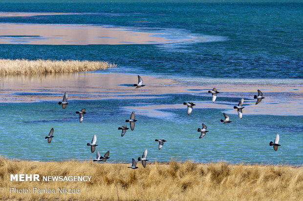 Choghakhor Wetland during winter
