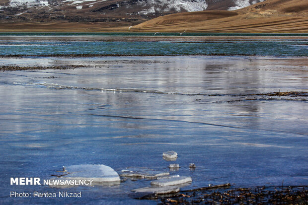 Choghakhor Wetland during winter
