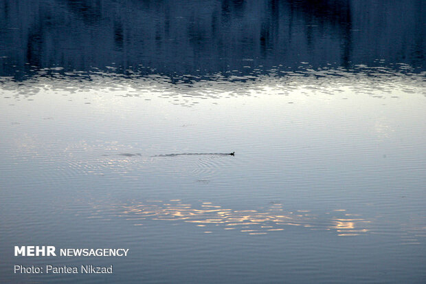 Choghakhor Wetland during winter
