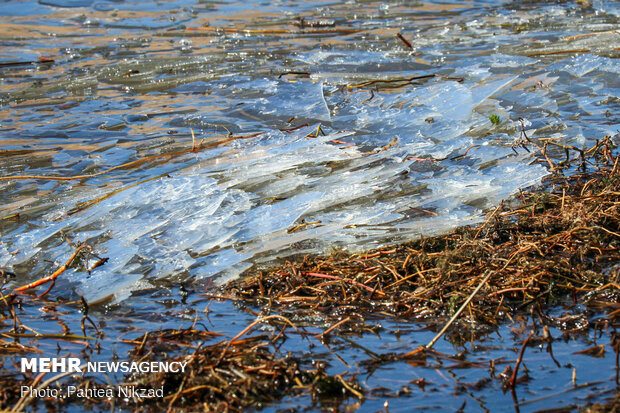 Choghakhor Wetland during winter
