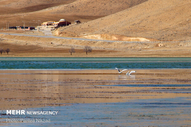 Choghakhor Wetland during winter
