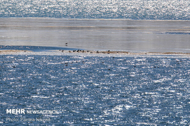 Choghakhor Wetland during winter
