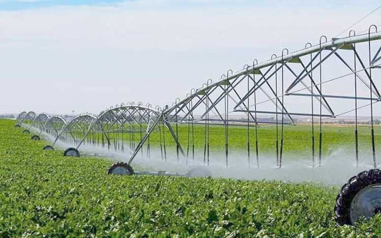 ضرورت استفاده از سیستم‌های نوین آبیاری در اراضی کشاورزی لرستان