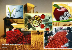 Iran’s export vol. of agri. products up 22% in nine months