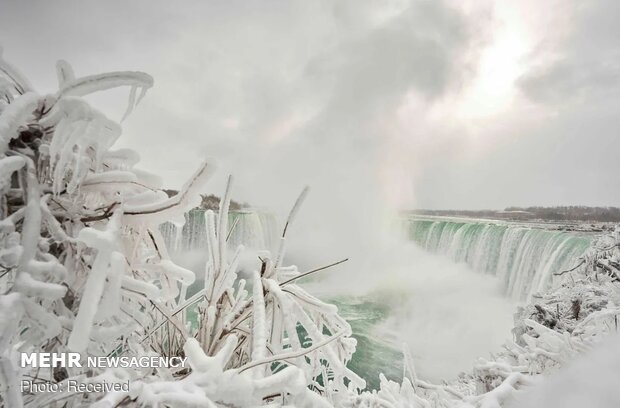 Aşırı soğuktan donan Niagara Şelalesi'nden fotoğraflar