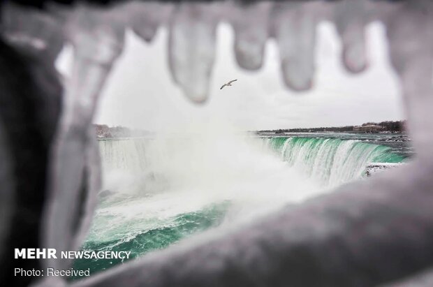 Aşırı soğuktan donan Niagara Şelalesi'nden fotoğraflar