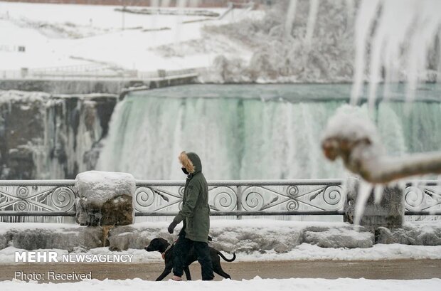 Aşırı soğuktan donan Niagara Şelalesi'nden fotoğraflar