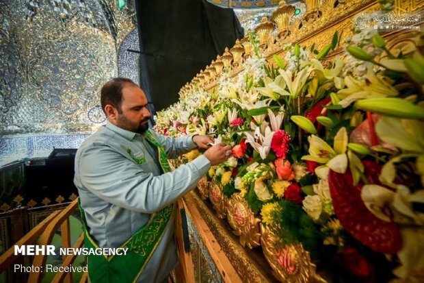 گُل‌آرایی مرقد مطهر امام علی(ع) در آستانه ولادت با سعادت حضرت زهرا(ع)