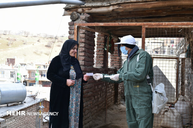 آغاز فاز دوم واکسیناسیون تب برفکی دام در کردستان